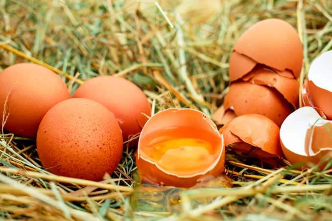 La yema y la cáscara de huevo estimulan la producción de colágeno