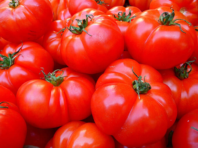 Los tomates son ricos en antioxidantes que previenen el envejecimiento prematuro de la piel - El Círculo de la Belleza